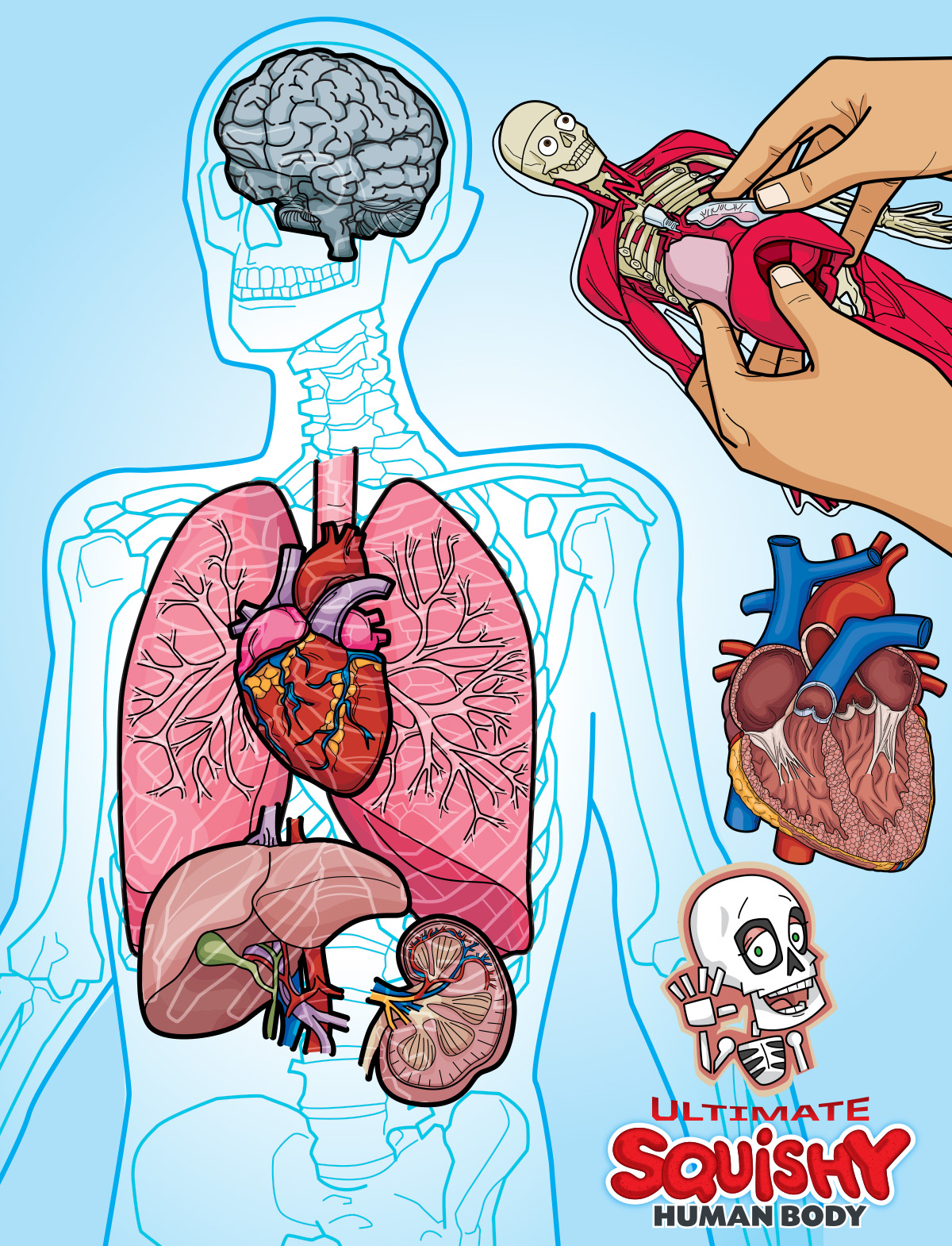 Ultimate Squishy Human Body